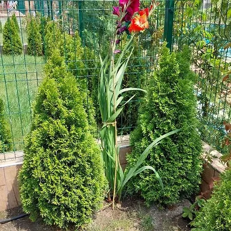 Appartement Sunrise A4, Sarafovo